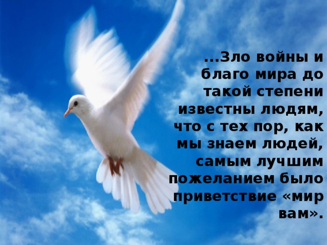 foto-23-06-2020-15-00 1