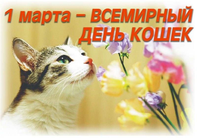foto-04-03-2021-14-45 1