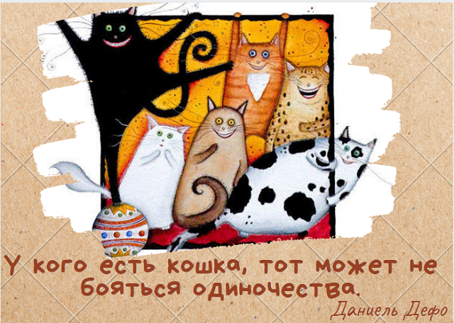 foto-11-08-2021-11-38 1