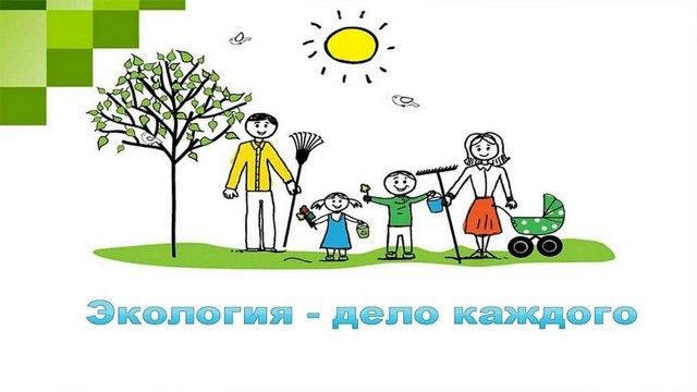 foto 15 23 15 11
