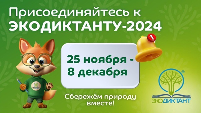 foto 2024 11 08 15 19